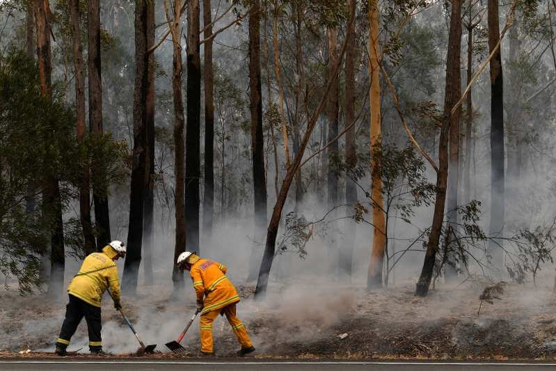Australia forest fires destroy
