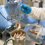 Food Safety Warnings