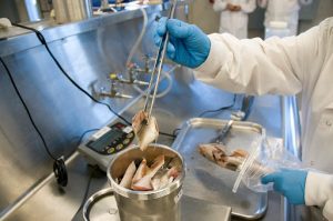 Food Safety Warnings