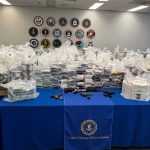 Brampton Man Pleads Guilty in Major U.S.–Canada