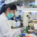 Brampton’s Economic Lifeline | Brampton News