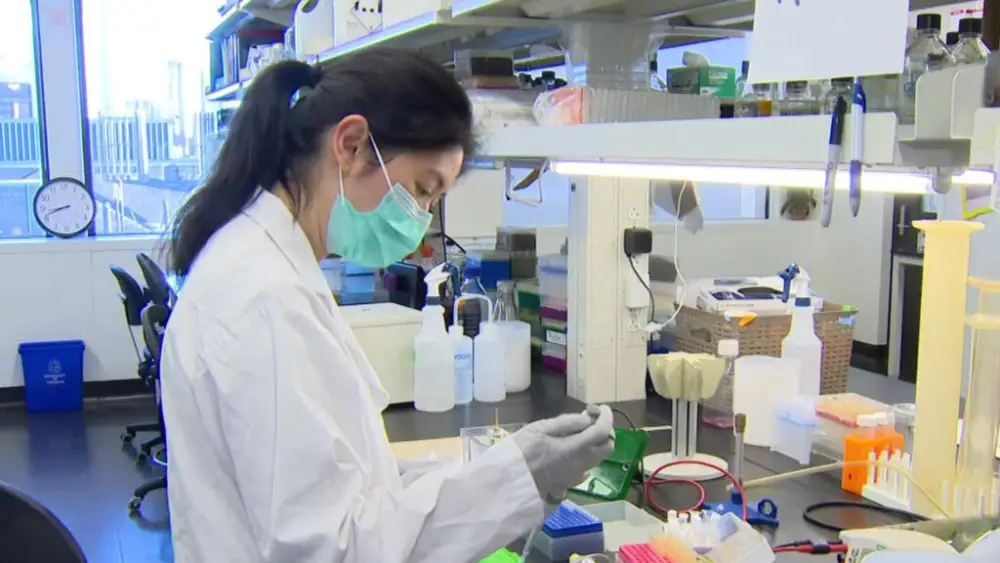 Brampton’s Economic Lifeline | Brampton News